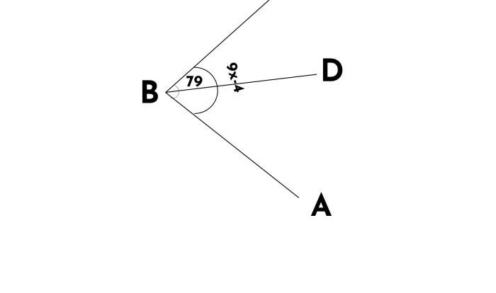 Angle bisects abc bd line find measure solve angles degree 4x answer then