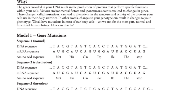 Gene mutation pogil answer key