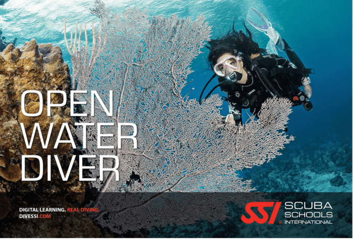 Ssi open water diver test