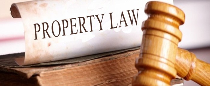 Property real law thinkswap