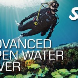 Ssi diver scuba dive