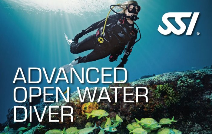 Ssi diver scuba dive