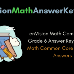 Envision math grade 6 answer key pdf