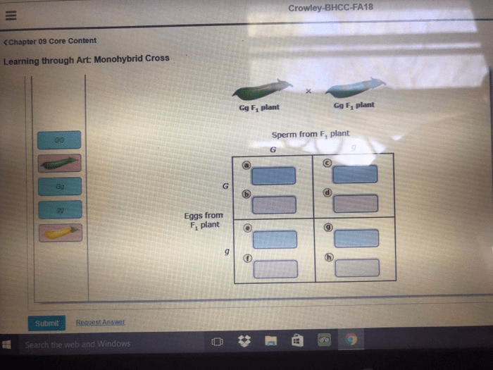 Learning through art monohybrid cross