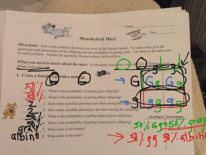 Monohybrid cross worksheet answer sheet