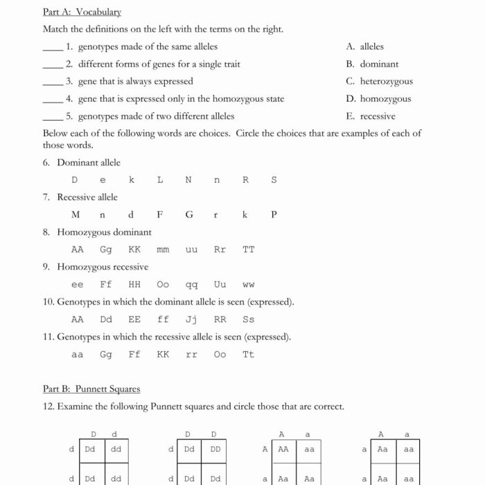 Monohybrid cross worksheet answer sheet