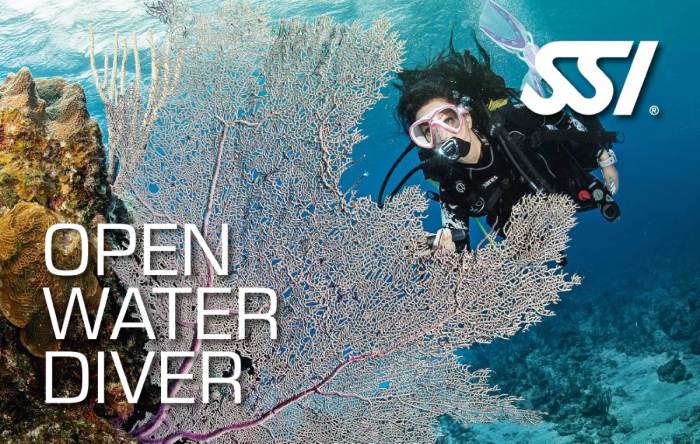 Ssi open water diver test