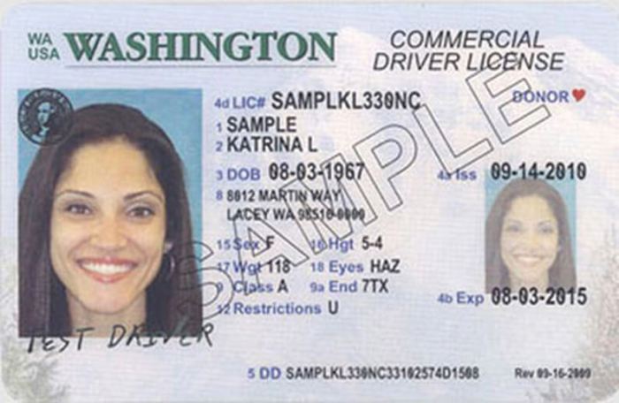 License drivers dc driver columbia district dmv washington licenses permit driving sample may test ids official federal practice look november