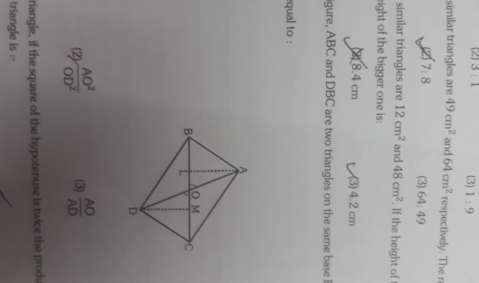 Quiz 6-2 proving triangles are similar answer key