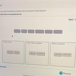 Properties masteringbiology rna has part solved each sort type describes drag bin description appropriate item show expression google answers problem