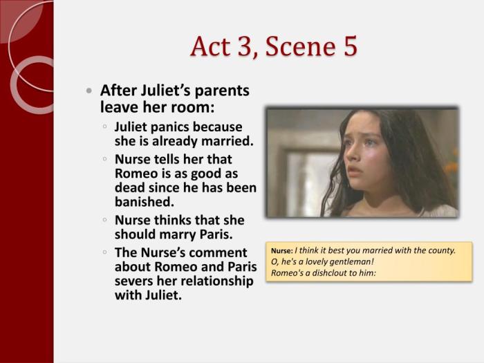 Wretch disobedient baggage hang thee young romeo juliet test ppt powerpoint presentation review capulet montague